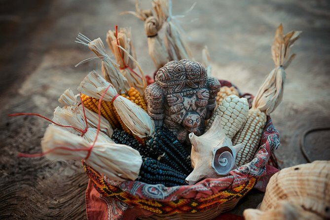 Quintana Roo 5 hours Chocolate Maya Ceremony and Temazcal Maya Ritual Tour - Frequently Asked Questions