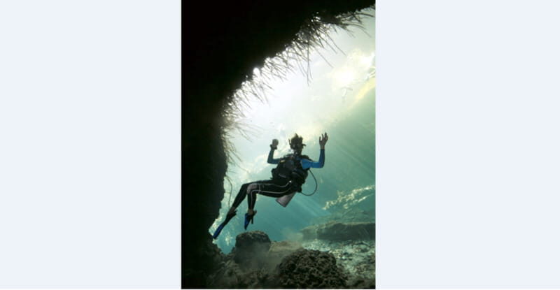 Quintana Roo: Cenote Dive - Why This Tour Is Worth Your Time
