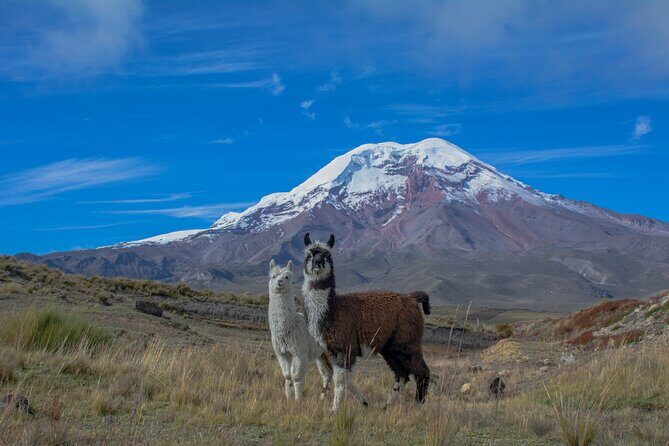 Quito to Cuenca 4 or 5-Day Tour with Cotopaxi, Quilotoa, Baños and Chimborazo - Exploring Ecuador’s Most Iconic Landscapes and Sites