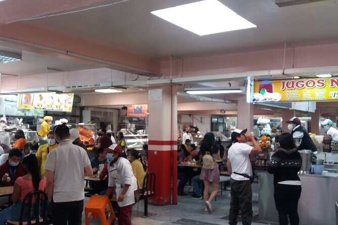 Quito: Unforgettable Private City Tour and the equator line. - Discovering Quito: A Balanced Journey Through History and Nature