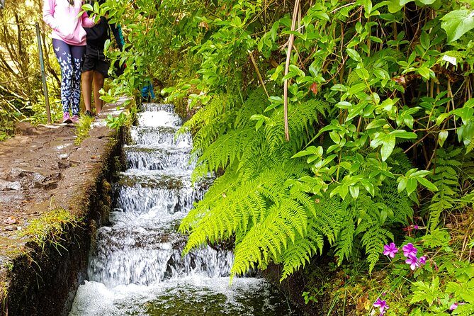 Rabaçal 25 Fontes Levada Walk in Small Groups - The Itinerary in Detail