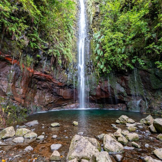 Rabaçal: 25 Fontes & Risco Levada Hiking Transfer - Rabaçal: 25 Fontes & Risco Levada Hiking Transfer – A Deep Dive into Madeira’s Natural Beauty