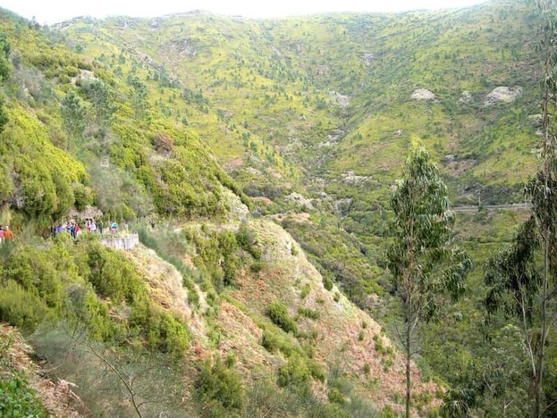 Rabaçal: 25 Fontes & Risco Levada Hiking Transfer - Why Choose This Tour?