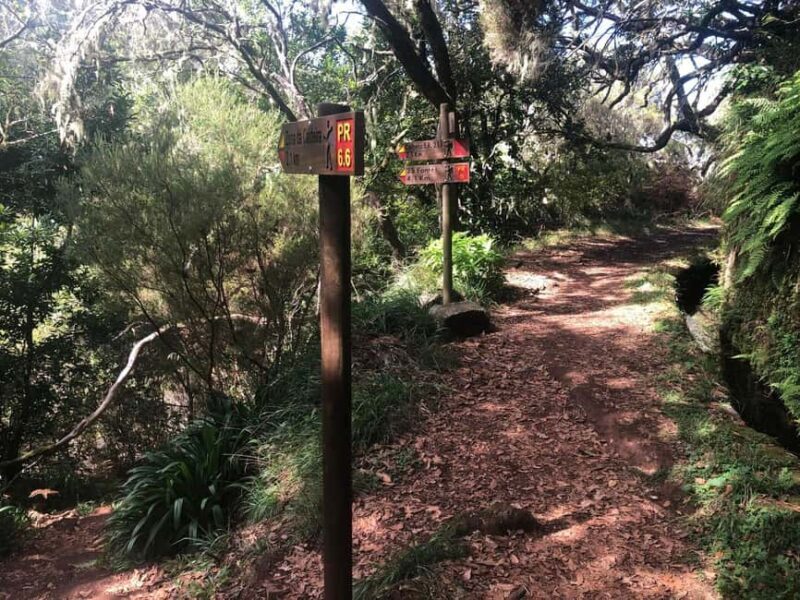 Rabaçal: 25 Fontes & Risco Levada Hiking Transfer - Who Should Consider This Tour?