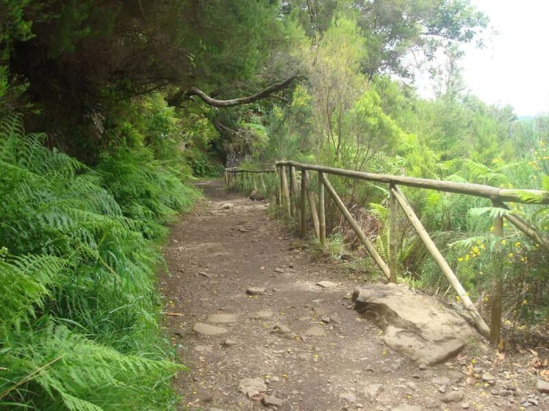 Rabaçal: 25 Fontes & Risco Levada Hiking Transfer - Frequently Asked Questions