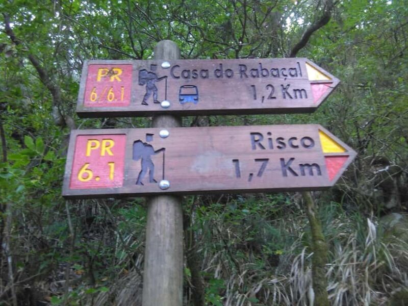 Rabaçal: 25 Fontes & Risco Levada Hiking Transfer - Final Thoughts