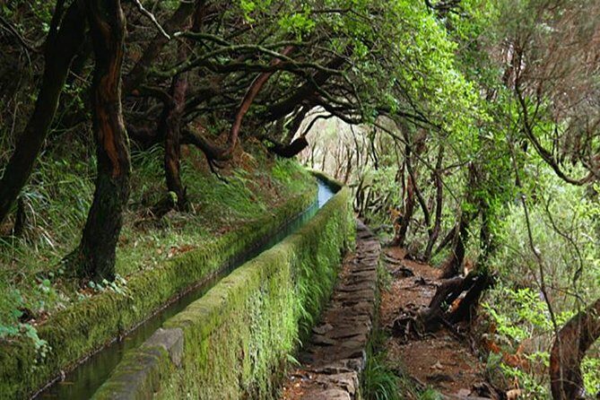 Rabacal - 25 Fountains - Discovering Madeira’s Natural Beauty on the Rabacal - 25 Fountains Tour