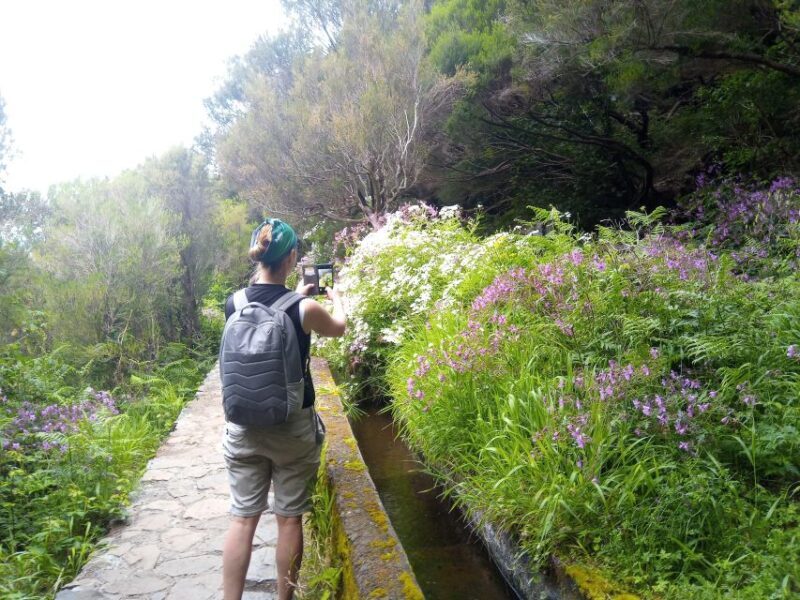 Rabaçal: Lagoa do Vento, Levada Risco and Levada 25 Fontes - Key Points