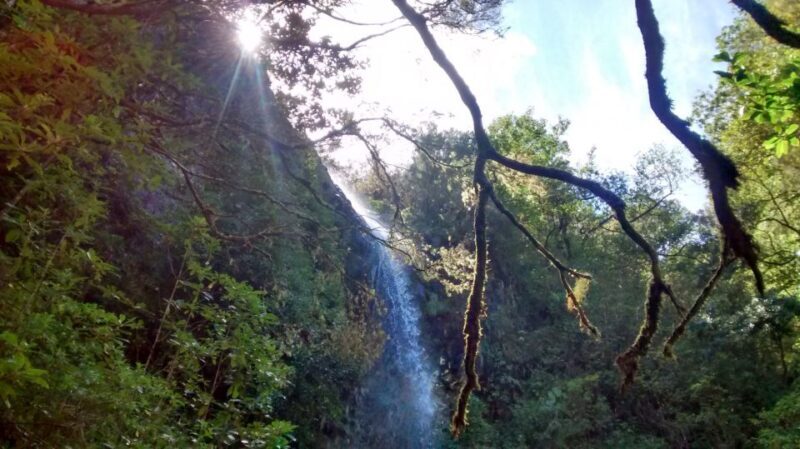 Rabaçal: Lagoa do Vento, Levada Risco and Levada 25 Fontes - An In-Depth Look at the Rabaçal Tour