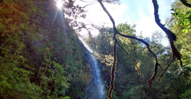 Rabaçal: Lagoa do Vento, Levada Risco and Levada 25 Fontes - FAQs