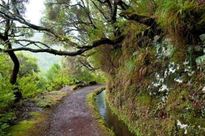 Rabaçal / Risco / 25 Fountains Full-day walk - Rabaçal / Risco / 25 Fountains Full-day Walk: A Saddlebag of Natural Wonders in Madeira