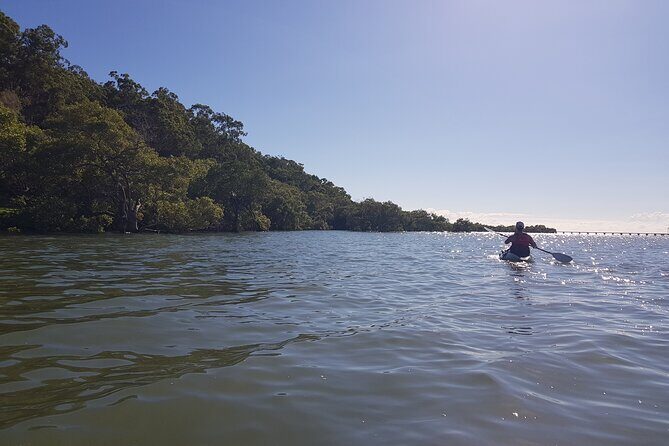 Raby Bay Wildlife Kayak Tour - Final Thoughts: Why This Tour Stands Out