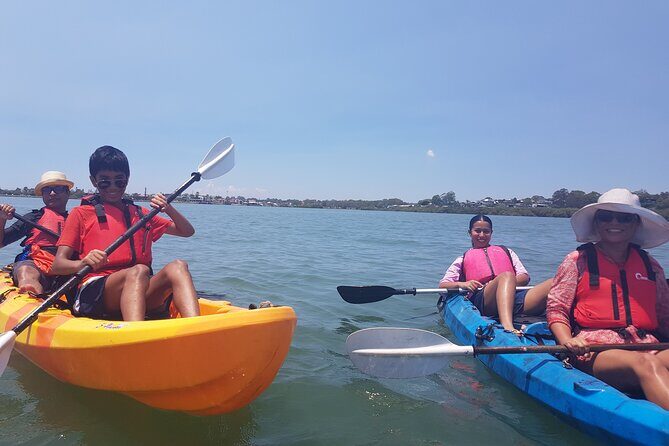 Raby Bay Wildlife Kayak Tour - FAQ