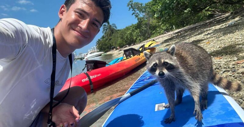 Raccoon Island: Exploration on SUP/Kayak - The Experience from a Traveler’s Perspective