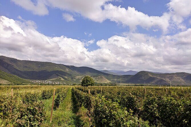 RACHA region with TSKHRAJVARI and wine tasting from Kutaisi - The Sum Up: Is It Worth It?