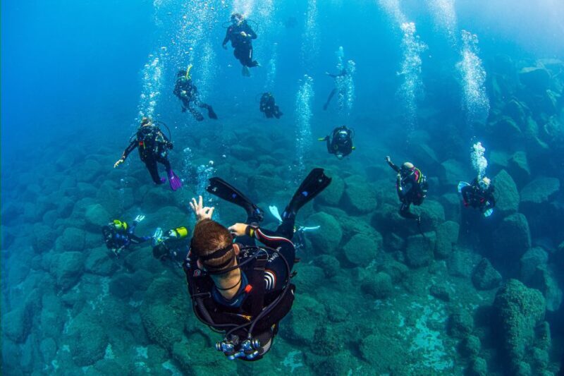 Radazul: Diving Trip in Radazul Bay with Drinks - Final thoughts