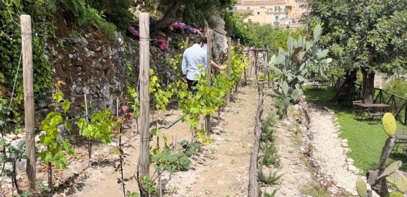 Radici: IImmerse yourself in the heady scents of our garden - What’s Unique About This Garden?