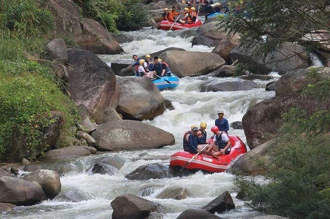 Rafting 5 km, ATV 30 Mins, Fly Fox and Jungle Tour From Phuket - Key Points