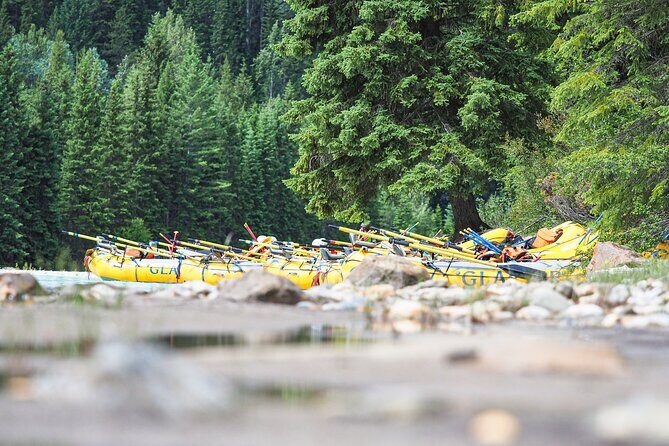 Rafting Adventure on the Kicking Horse River - The Cost and the Value You Receive