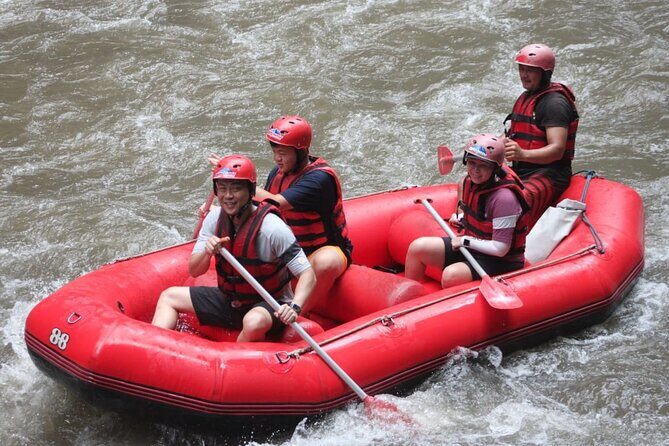 Rafting at Ayung River(Include Return Hotel Transportation) - An In-Depth Look at the Ayung River White-Water Rafting Tour
