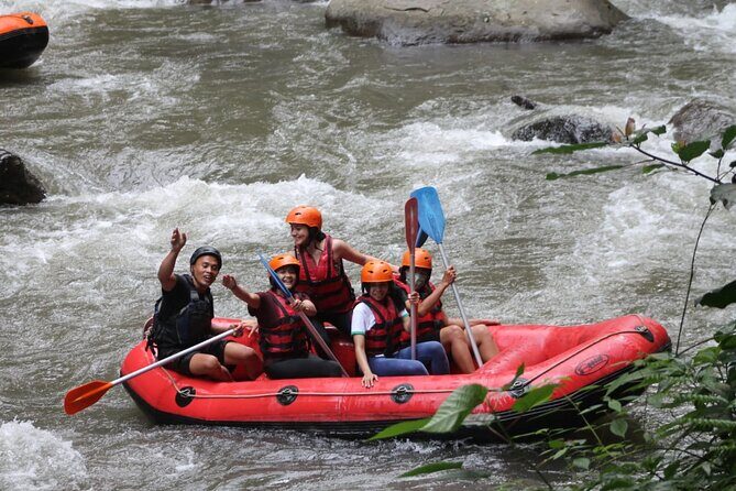 Rafting Swing Monkey Forest And Waterfall Tour All Inclusive - A Deep Dive into the Bali Adventure