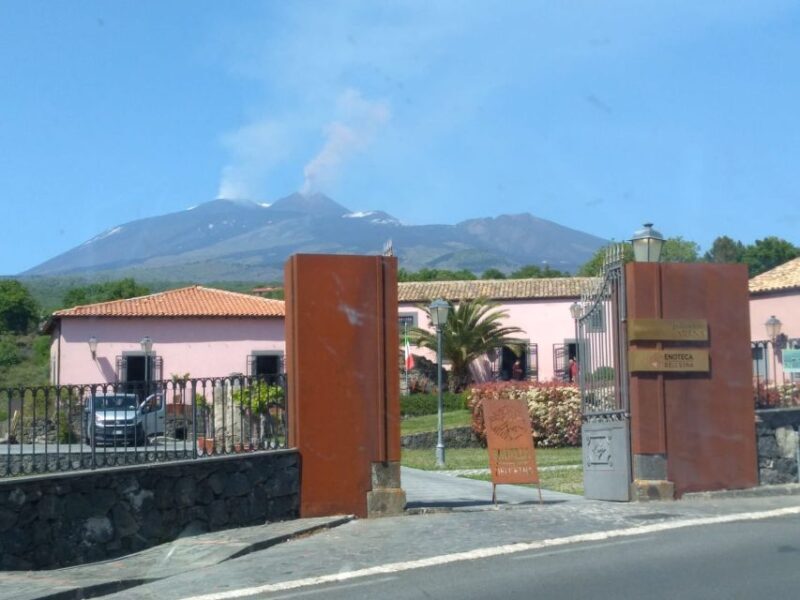 Ragalna: Etna Wine Tasting Experience with Sicilian food - A Deep Dive into the Ragalna Etna Wine Tasting Experience