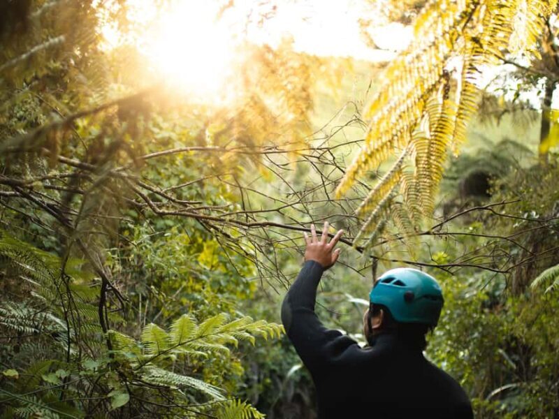 Raglan: Karioi Canyoning - The Setting: An Ancient Lava-Formed Landscape