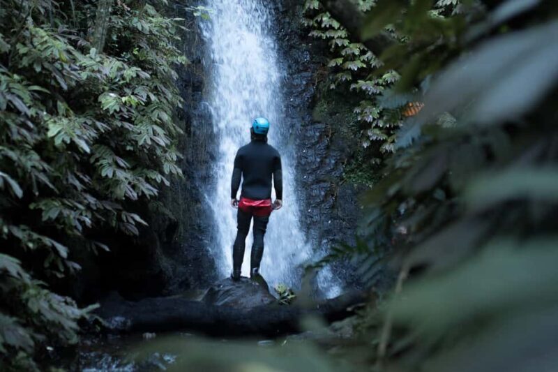 Raglan: Karioi Canyoning - The Experience: Adventure with a Side of Culture