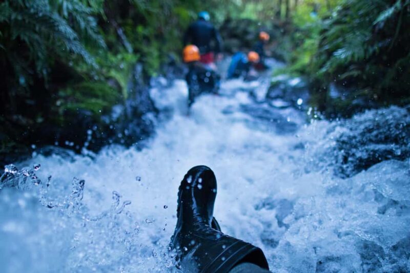 Raglan: Karioi Canyoning - What to Expect: Practical Considerations