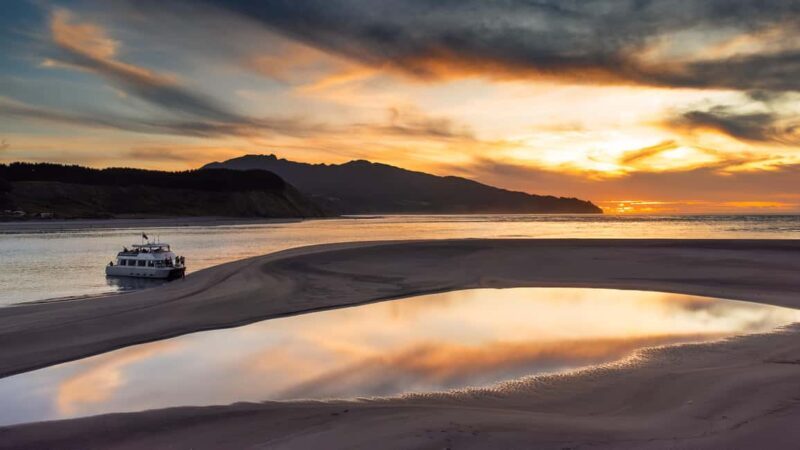Raglan: Scenic Harbour Sunset Cruise - Who Will Love This Cruise?