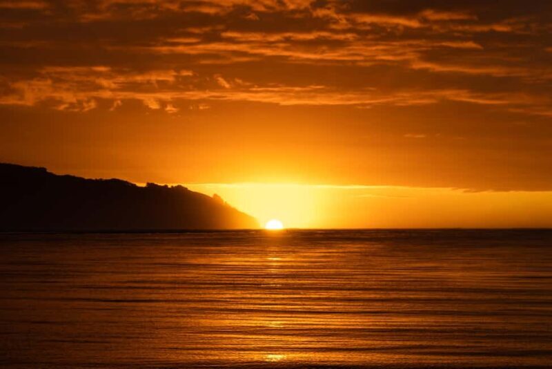Raglan: Scenic Harbour Sunset Cruise - Final Thoughts