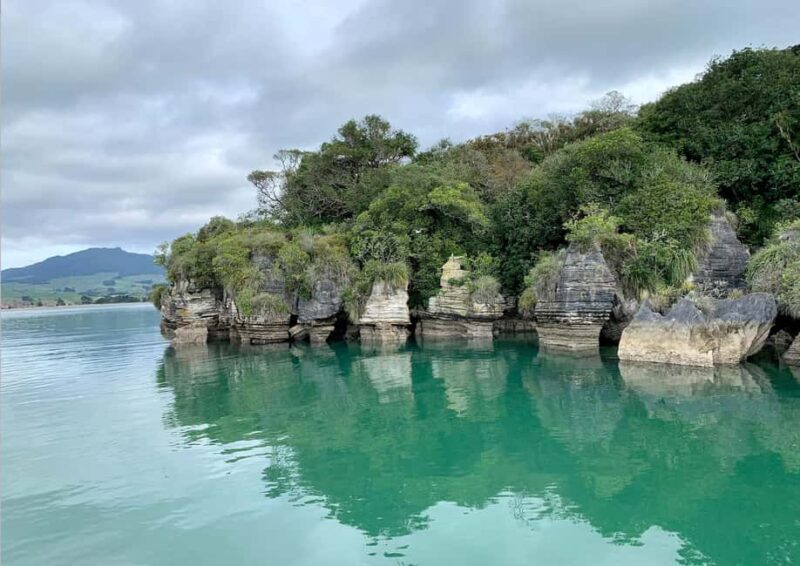 Raglan: Scenic Nature Boat Cruise - An In-Depth Look at Raglan’s Scenic Nature Boat Cruise