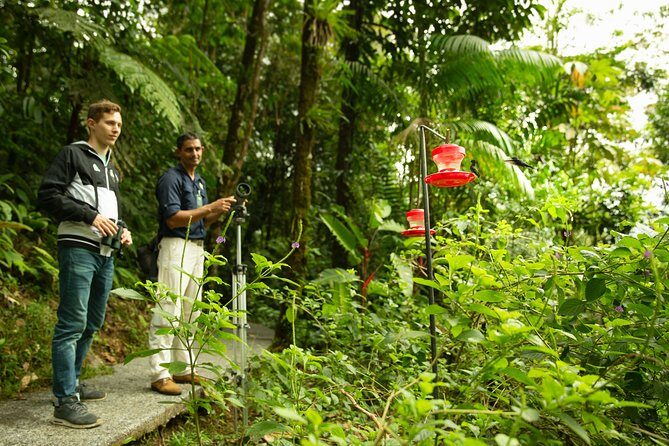 Rain Forest Aerial Tram. Private Tour from San Jose - Discover the Rainforest Aerial Tram: A Unique Costa Rican Adventure