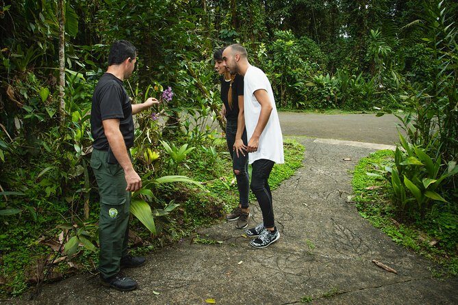 Rain Forest Aerial Tram. Private Tour from San Jose - Who Will Love This Tour?