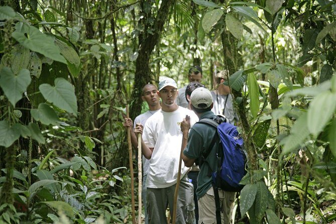 Rain Forest Aerial Tram. Private Tour from San Jose - The Sum Up: Is the Rain Forest Aerial Tram Right for You?