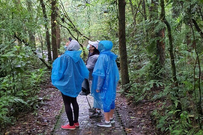 Rain Forest Monteverde,Hanging Bridges, Sloths,Birds Watching - Frequently Asked Questions