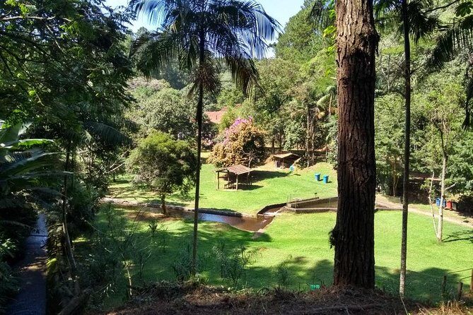 Rain Forest Trail Cantareira Natural Park from Sao Paulo - Who Should Consider This Tour?