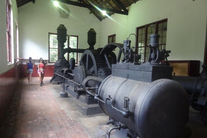 Rain Forest Trail Cantareira Natural Park from Sao Paulo - FAQs