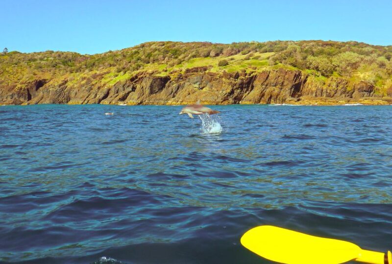 Rainbow Beach: Kayaking with Dolphins and Beach 4WD Tour - An In-Depth Look at the Rainbow Beach Experience