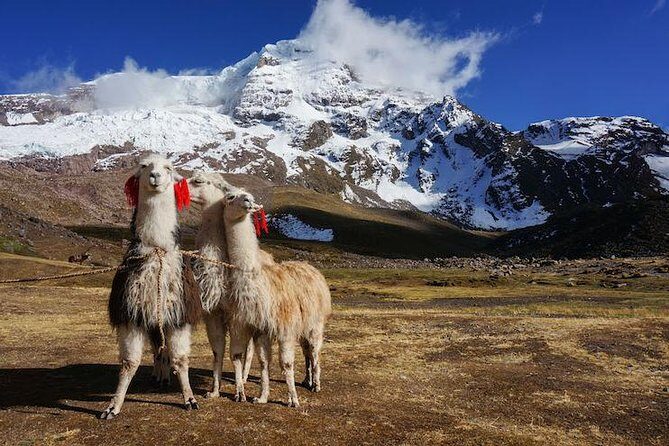 Rainbow Mountain and Red Valley - Private Service - Key Points