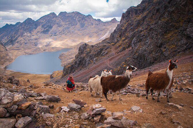 Rainbow Mountain Day Tour From Cusco - Summary of Benefits