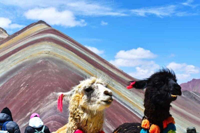 Rainbow Mountain Day Trip with Guided Trek - Discovering the Rainbow Mountain Day Trip: A Guide to One of Peru’s Most Colorful Wonders