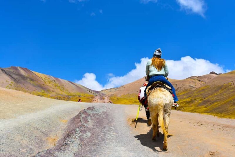 Rainbow Mountain Day Trip with Guided Trek - What You Need to Know: Practical Details