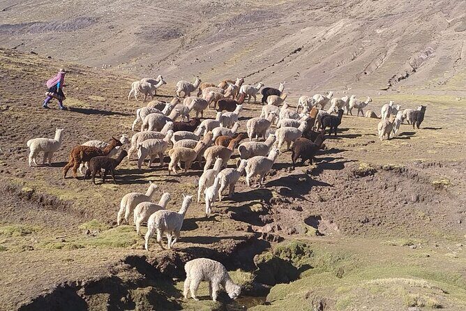 Rainbow Mountain Full-Day Hiking Tour - An In-Depth Look at the Rainbow Mountain Full-Day Trek