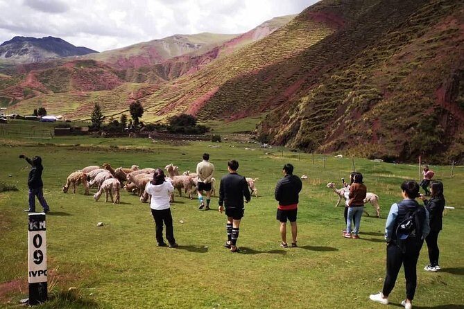 Rainbow Mountain Palccoyo 1 day ( Cusco ) - FAQ
