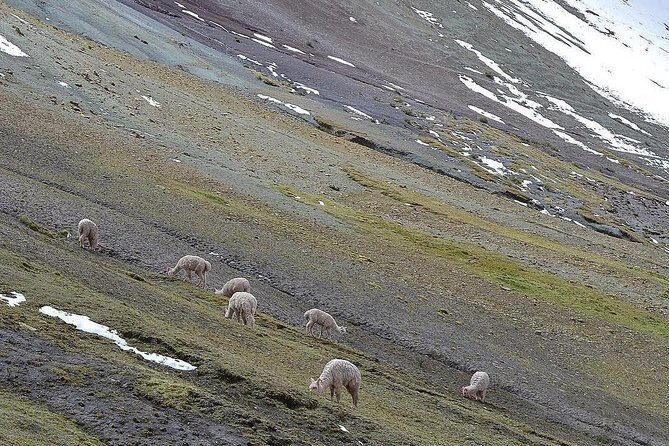 Rainbow Mountain (Palccoyo) By Car - Experience the Magic of Palccoyo Rainbow Mountain by Car: An Honest, Practical Guide