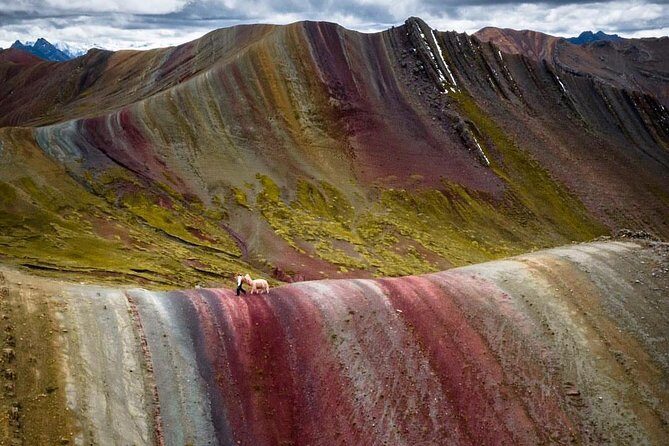 Rainbow Mountain (Palccoyo) By Car - The Value and Who This Tour Is Perfect For