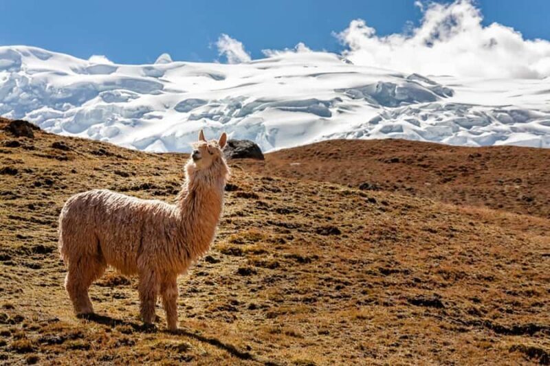 Rainbow Mountain to Ausangate 7 lakes 4 Days - Key Points