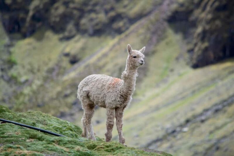 Rainbow Mountain Tour (Full Day) - The Itinerary in Detail