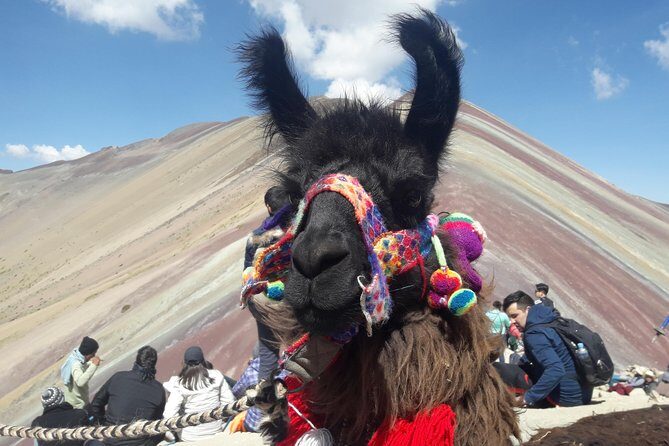 Rainbow Mountain Tour Vinicunca (Full Day) - Final Thoughts